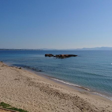 Summerhouse Peggy: Close To Athens Airport By The Sea Artemida  Exterior photo
