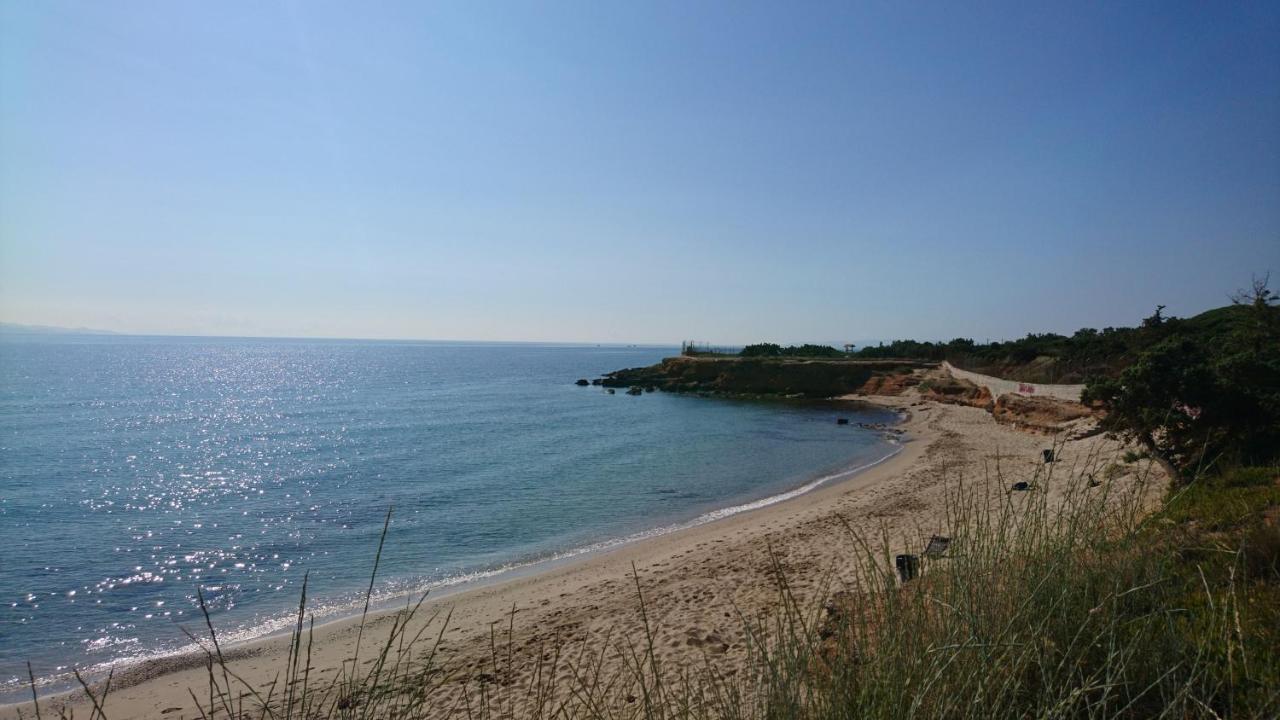 Summerhouse Peggy: Close To Athens Airport By The Sea Artemida  Exterior photo
